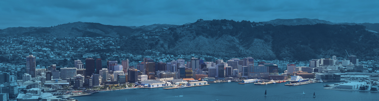 Wellington Dentists on Brandon Street