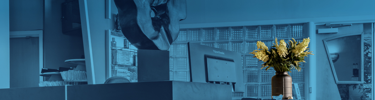 Wellington Dentists on Brandon Street